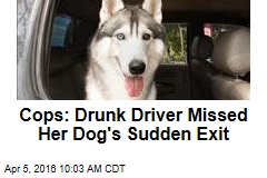 Cops: Drunk Driver Missed Her Dog&#39;s Sudden Exit