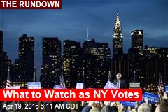 What to Expect in NY Primaries