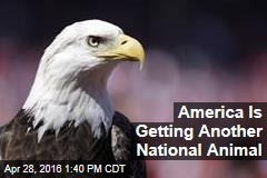 America Is Getting Another National Animal