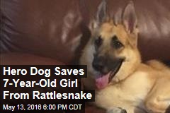 Hero Dog Saves 7-Year-Old Girl From Rattlesnake