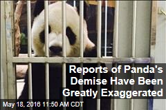 Reports of Panda&#39;s Demise Have Been Greatly Exaggerated