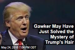 Gawker May Have Just Solved the Mystery of Trump&#39;s Hair