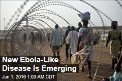 New, Ebola-Like Disease Is Emerging
