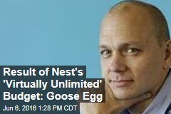 Result of Nest&#39;s &#39;Virtually Unlimited&#39; Budget: Goose Egg