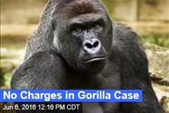 No Charges in Gorilla Case
