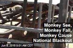 Monkey See, Monkey Fall, Monkey Cause National Blackout