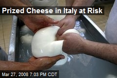 Prized Cheese in Italy at Risk