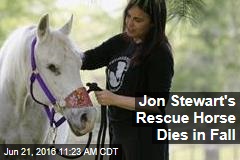 Jon Stewart&#39;s Rescue Horse Dies in Fall