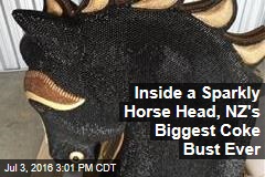 Inside a Sparkly Horse Head, NZ&#39;s Biggest Coke Bust Ever