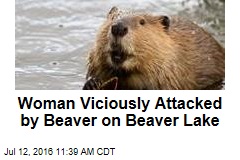 Woman Viciously Attacked by Beaver on Beaver Lake