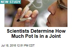 Scientists Determine How Much Pot Is in a Joint