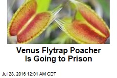 Venus Flytrap Poacher Is Going to Prison