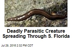 Deadly Parasitic Creature Spreading Through S. Florida