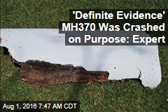 &#39;Definite Evidence&#39; MH370 Was Crashed on Purpose: Expert