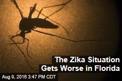 The Zika Situation Gets Worse in Florida