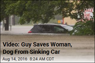 Video: Guy Saves Woman, Dog From Sinking Car