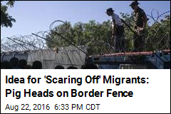 Idea for &#39;Scaring Off&#39; Migrants: Pig Heads on Border Fence