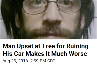 Man Upset at Tree for Ruining His Car Makes It Much Worse