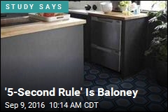 &#39;5-Second Rule&#39; Is Baloney
