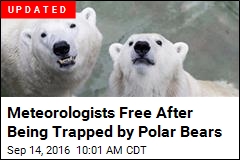 Polar Bears Swarm Weather Station, Trap Meteorologists