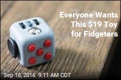 Everyone Wants This $19 Toy for Fidgeters