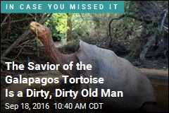 Galapagos Tortoise&#39;s Savior Is a Dirty, Dirty Old Man