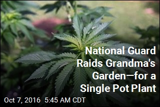 National Guard Raid Grandma&#39;s Garden for Single Pot Plant