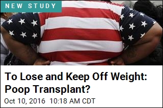 To Lose and Keep Off Weight: Poop Transplant?