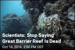 Scientists: Stop Saying Great Barrier Reef Is Dead