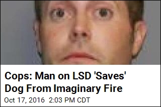 Cops: Man on LSD &#39;Saves&#39; Dog From Imaginary Fire