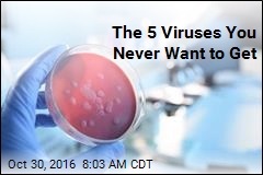 5 of the Deadliest Viruses Known to Man