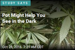 Pot Might Help You See in the Dark