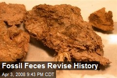 Fossil Feces Revise History