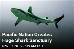 Pacific Nation Creates Huge Shark Sanctuary