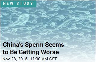 China&#39;s Sperm Seems to Be Getting Worse