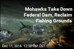 Mohawks Take Down Federal Dam, Reclaim Fishing Grounds