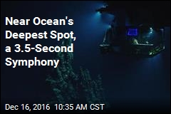 Near Ocean&#39;s Deepest Spot, a 3.5-Second Symphony