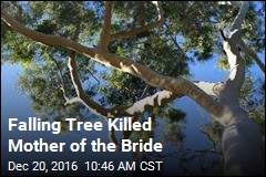 Falling Tree Killed Mother of the Bride