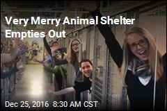 Very Merry Animal Shelter Empties Out