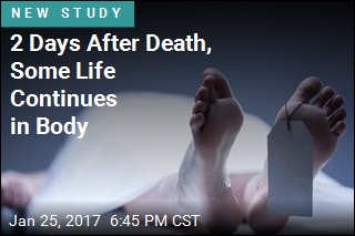 Days After Death, a Body Remains Alive