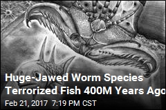 Huge-Jawed Worm Species Terrorized Fish 400M Years Ago