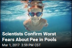 Scientists Confirm Worst Fears About Pee in Pools