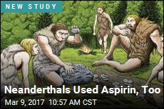 Neanderthals Used Aspirin, Too