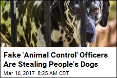 Bogus &#39;Animal Control&#39; Stealing Dogs in Illinois