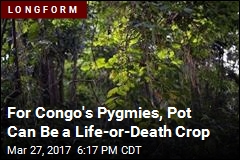 Congo&#39;s Pygmies Are Selling Pot to Survive