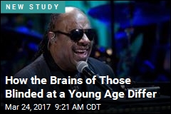 How the Brains of Those Blinded at a Young Age Differ