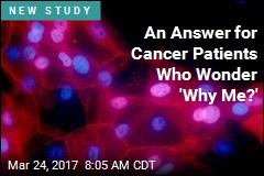 An Answer for Cancer Patients Who Wonder &#39;Why Me?&#39;