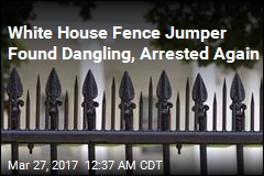 Woman Arrested for 2nd Attempt to Scale White House Fence