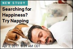 It&#39;s True: Power Naps Boost Happiness