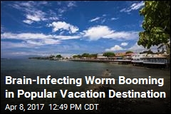 Brain-Infecting Worm Booming in Popular Vacation Destination